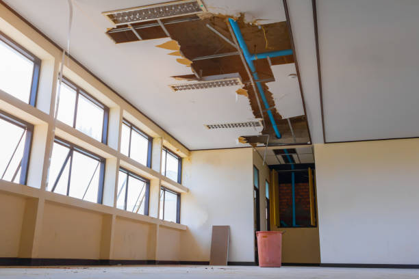 Best Water damage restoration insurance claims  in Eagle, CO