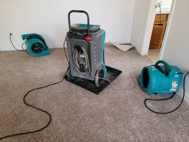 Best Fire Damage Restoration  in Eagle, CO