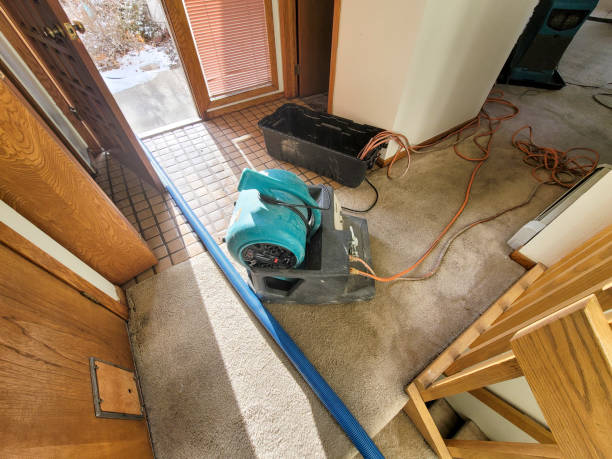 Carpet water damage restoration in Eagle, CO