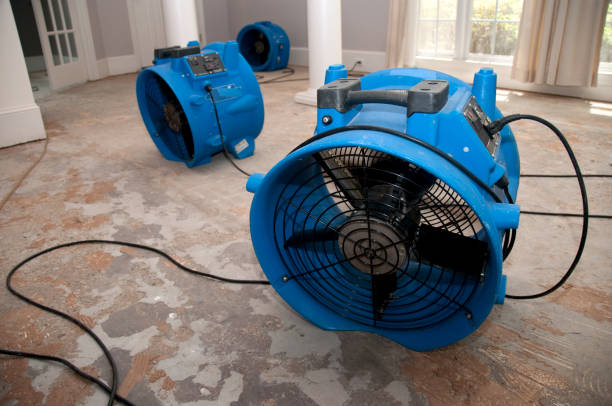 Best 24-hour water damage restoration  in Eagle, CO