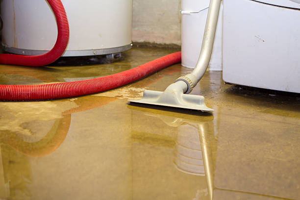 Best Water damage cleanup near me  in Eagle, CO