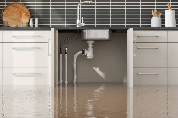 Reliable Eagle, CO Water damage restoration Solutions