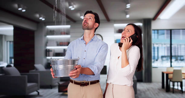 Best Ceiling water damage repair  in Eagle, CO