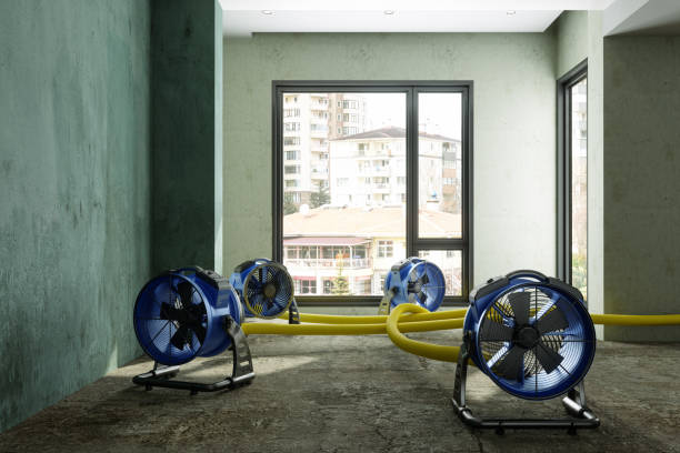 Best 24/7 water damage repair  in Eagle, CO